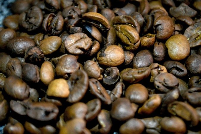  09/03/2026 Crédito: Marcelo Ferreira/CB/D.A Press. Brasil. Brasília - DF -   Fazenda Santa Rosa -  Matéria sobre a cadeia produtiva de café. Núcia Cenci, produtora de café e dona do Café Grão Nativo.