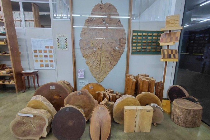 Acervo do SFB na exposição O Brasil das Florestas: 20 anos do Serviço Florestal Brasileiro