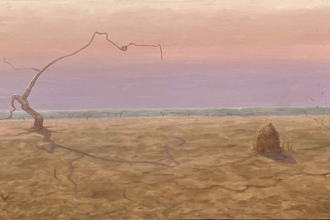 Obra de Enthony Sousa na exposição O Brasil das Florestas: 20 anos do Serviço Florestal Brasileiro