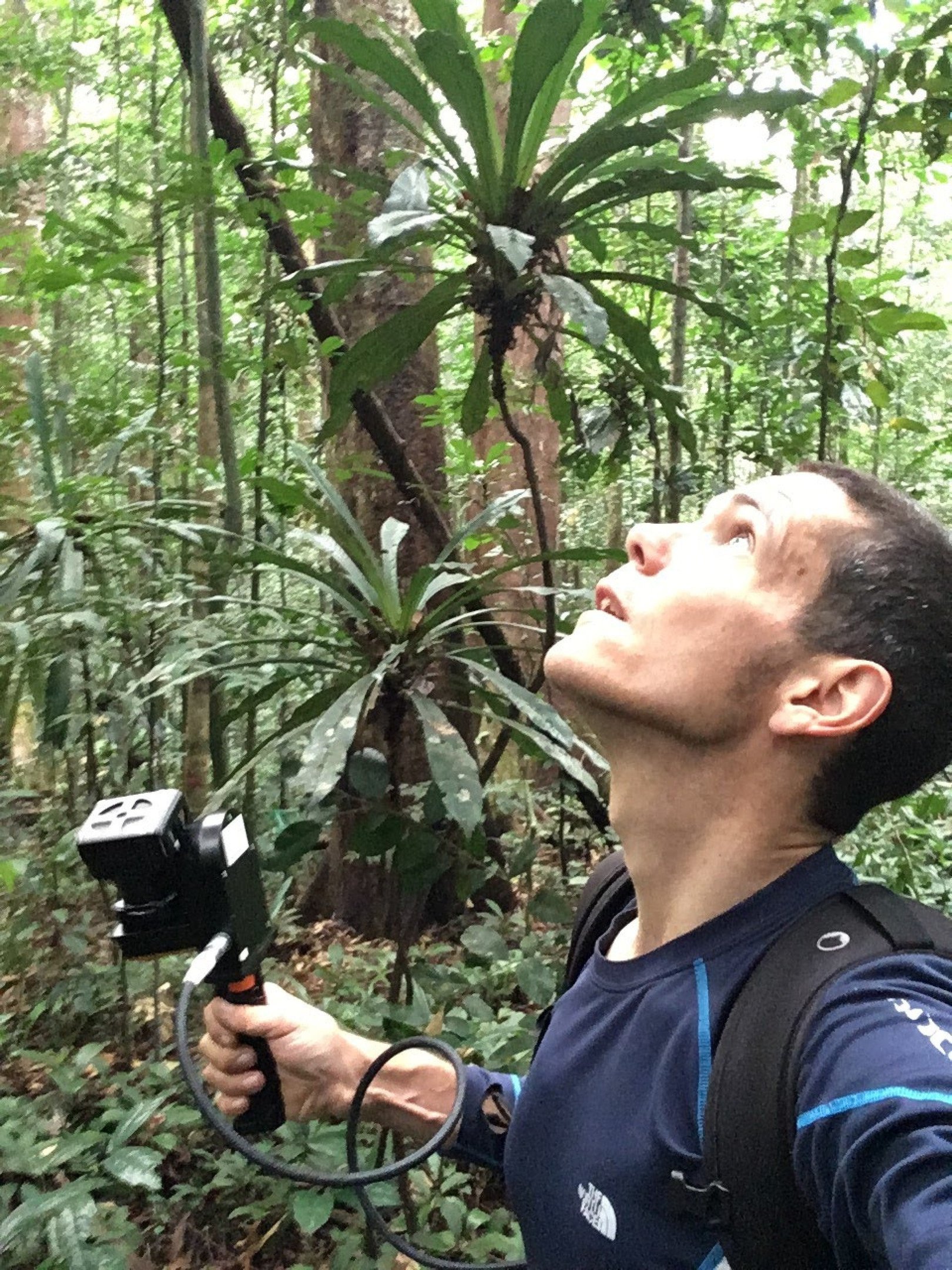 Lasers e drones avaliam saúde de florestas 