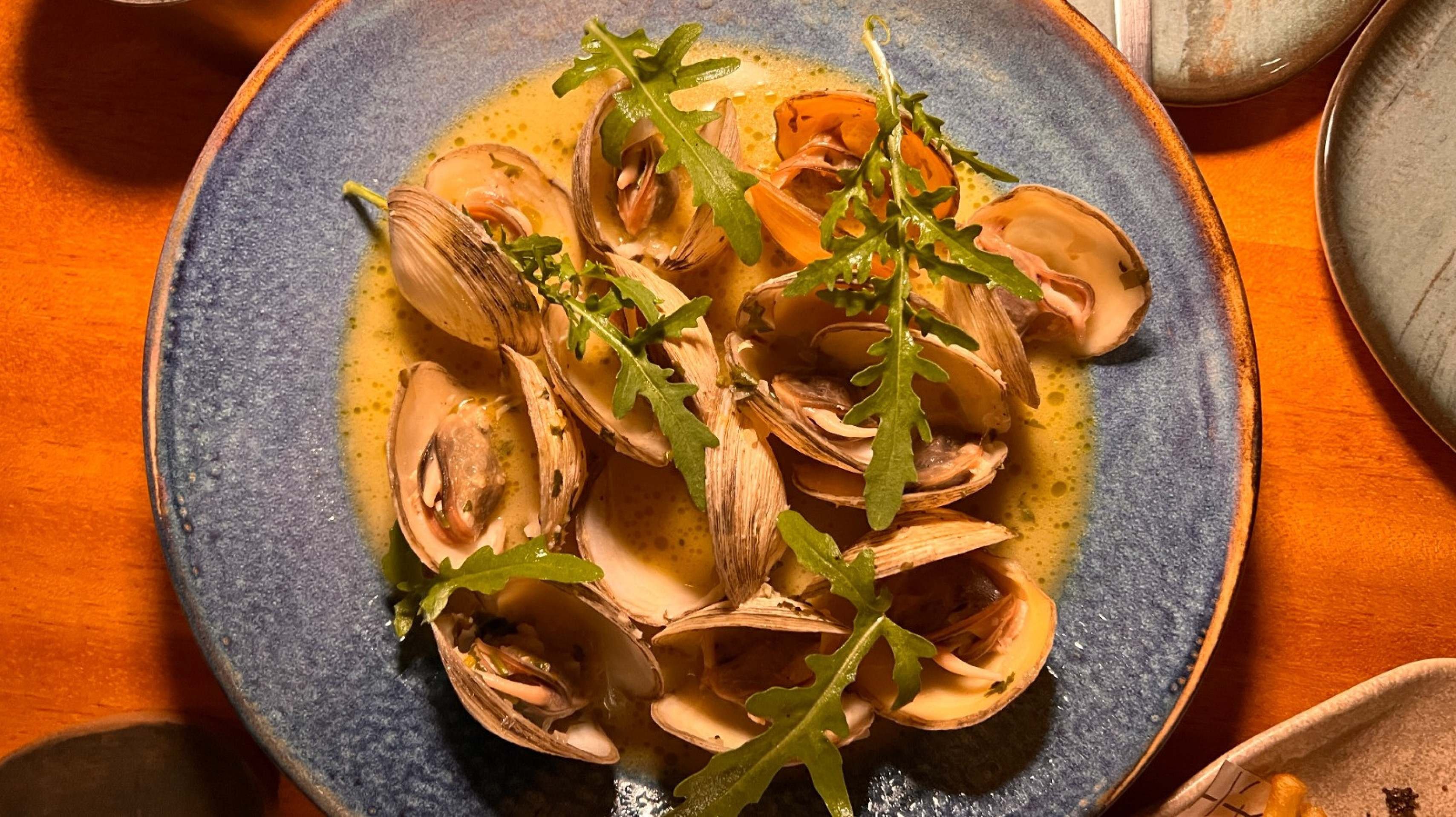 TOÁ: rooftop em Maceió marca nova cena gastronômica na cidade