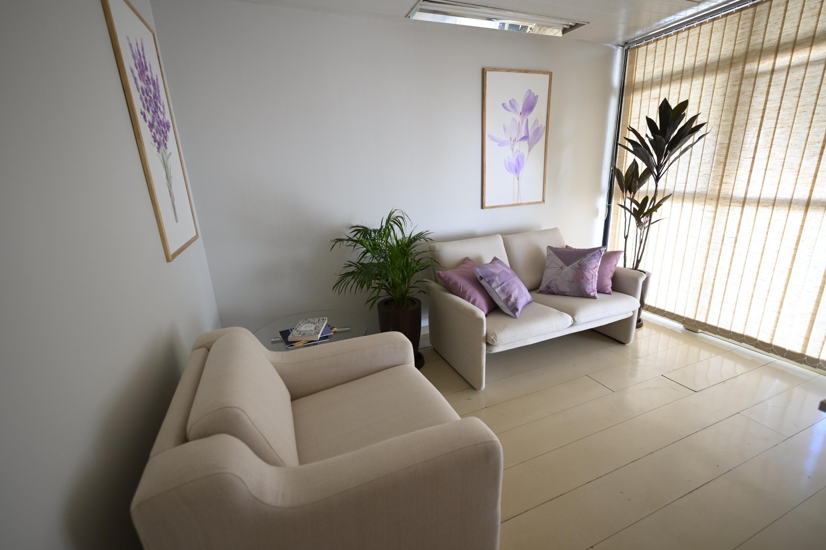 Sala Lil&aacute;s no Senado