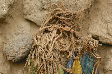 As penas de arara ornamentavam uma tumba Ychsma escavada em Pachacamac -  (crédito: Izumi Shimada/Divulgação )