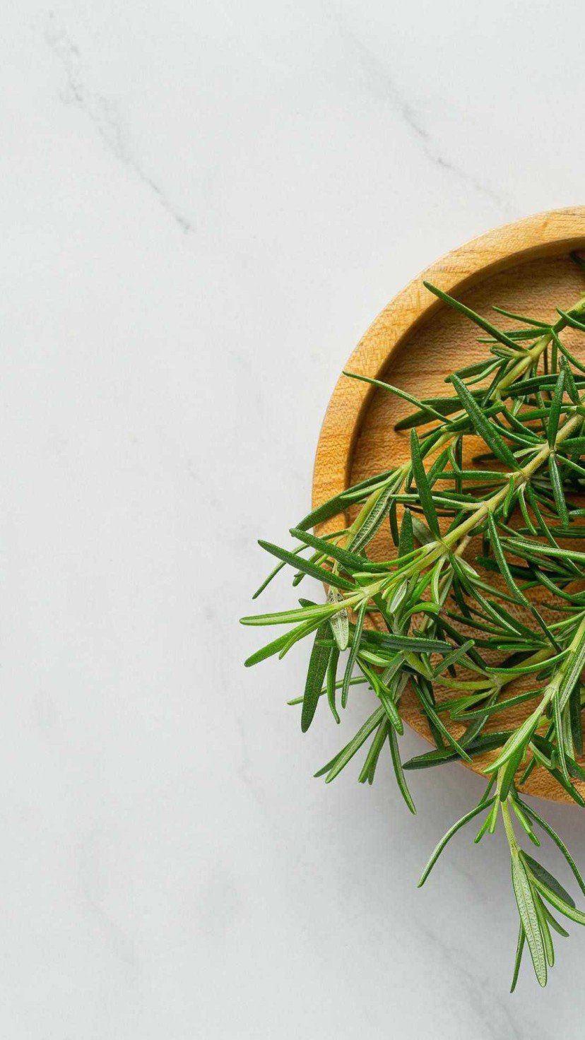 . -  (crédito: Reprodução)