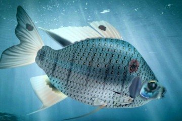 O exemplar foi encontrado na Formação Morro do Chaves, que fica na bacia sedimentar Sergipe-Alagoas -  (crédito:  Alexandre Cunha Ribeiro)