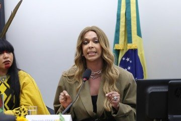 Deputada Erika Hilton (PSol-SP) -  (crédito: Kayo Magalhaes/Câmara dos Deputados)