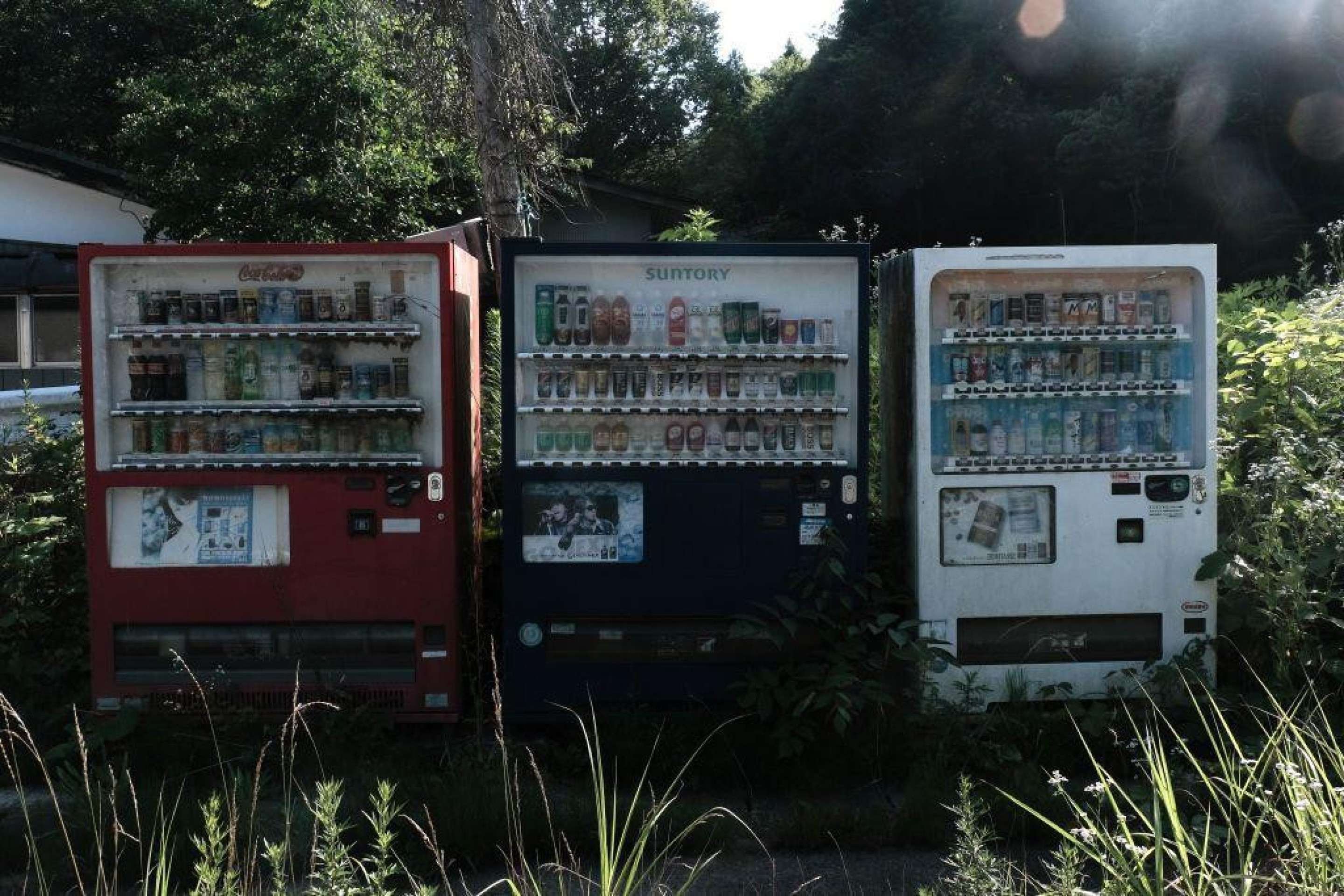 Uma estufa abandonada em Futaba, província de Fukushima, Japão -  (crédito: Bloomberg via Getty Images)