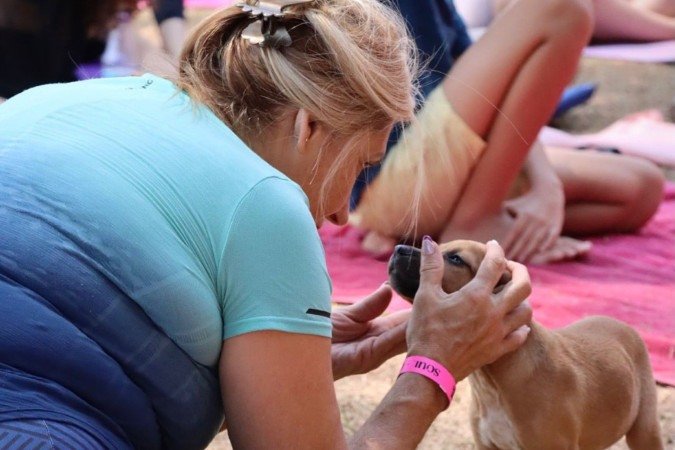 Os eventos de Puppy Yoga combinam a pr&aacute;tica da yoga com intera&ccedil;&atilde;o de filhotes para ado&ccedil;&atilde;o 