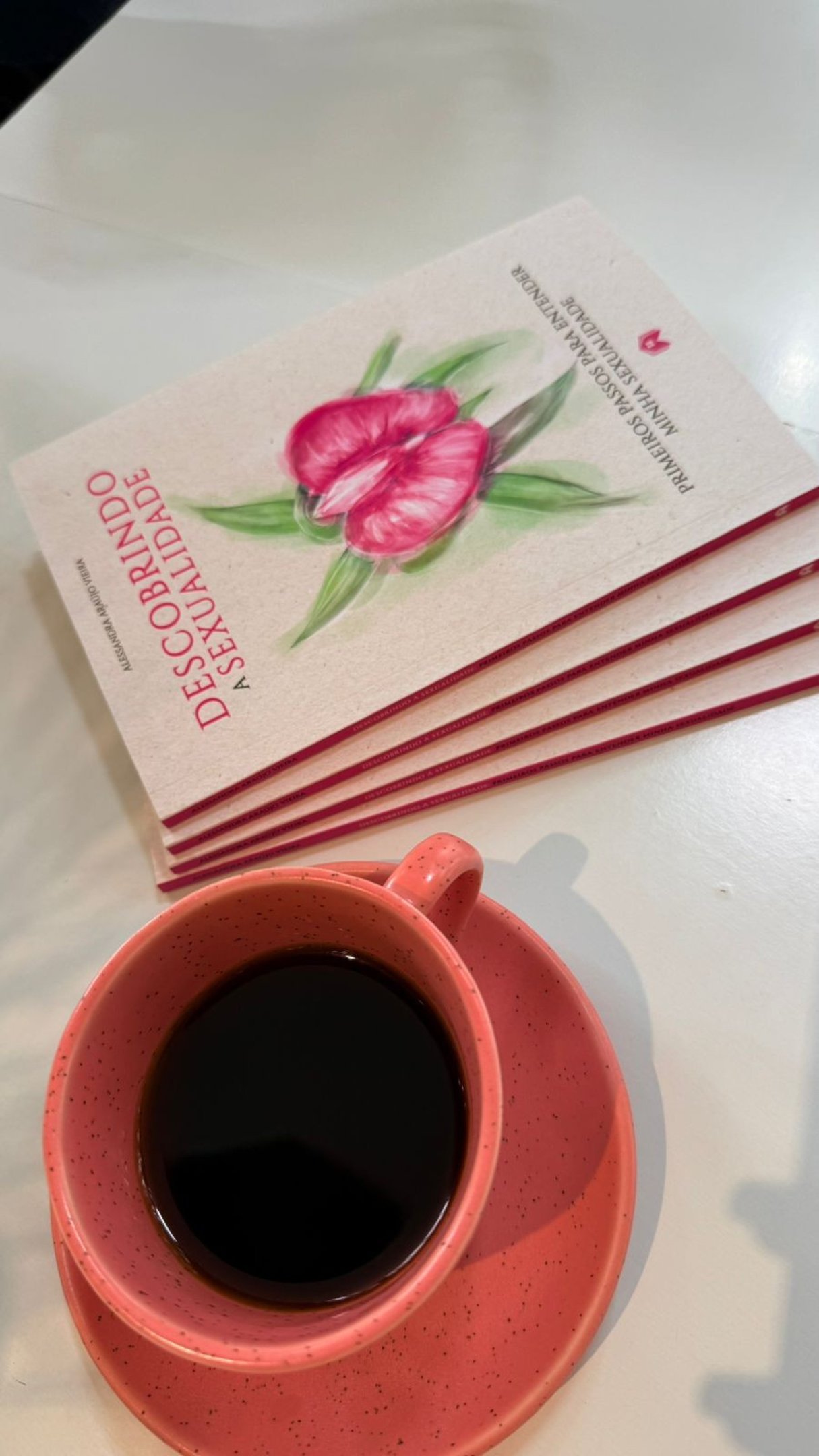 &lsquo;Descobrindo a Sexualidade&rsquo;