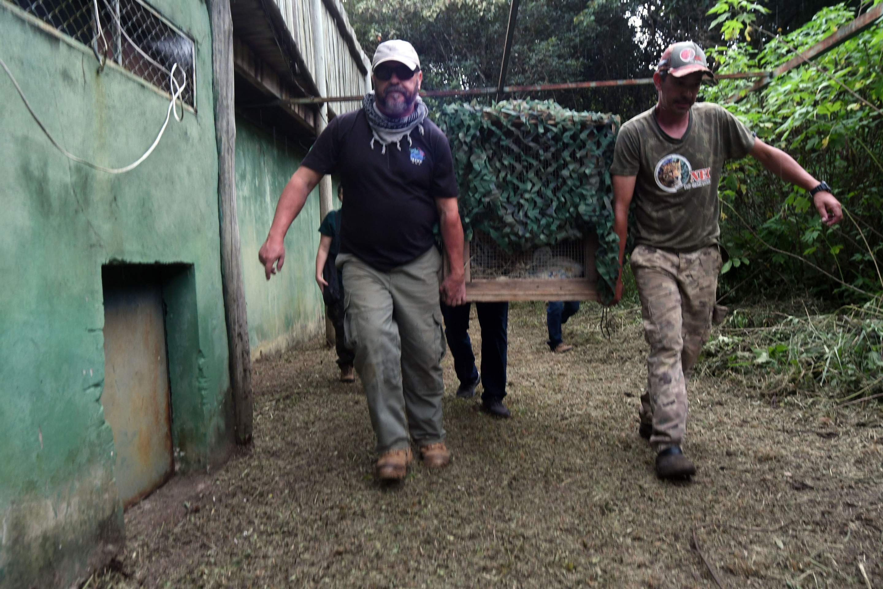 O transporte &eacute; feito com todo cuidado para n&atilde;o  estress&aacute;-la