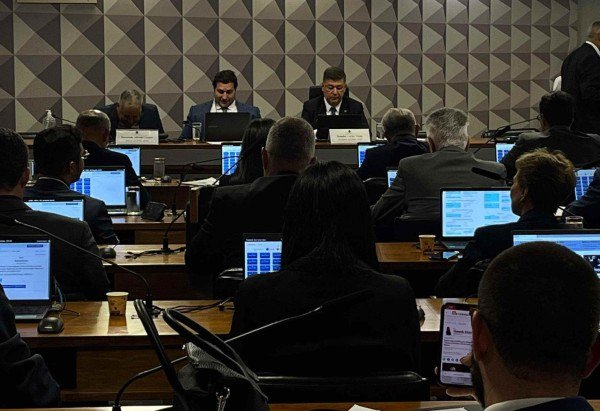 Se não fosse prorrogada, a CPMI teria prazo para encerrar as atividades até este sábado (28/3) -  (crédito: Danandra Rocha/CB/DA.Press)