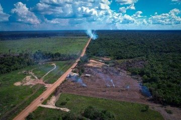 Ramais que cortam a BR-319 abre caminho para atividades ilegais como desmatamento e grilagem de terras -  (crédito: Orlando K. Júnior/Observatório da BR-319)