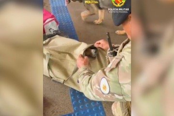 Homem é preso por transportar cachorro dentro de mala na Rodoviária Interestadual -  (crédito: PMDF/Divulgação)