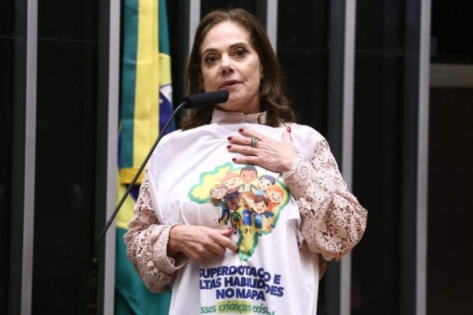 Projeto de Lei 1049/26 que beneficiará estudantes com altas habilidades seguirá para o Senado -  (crédito: Reprodução/Câmara dos Deputados/Vinicius Loures)