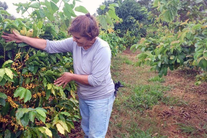 A cafeicultora Roberta Sara produz cafés especiais em Brazlândia