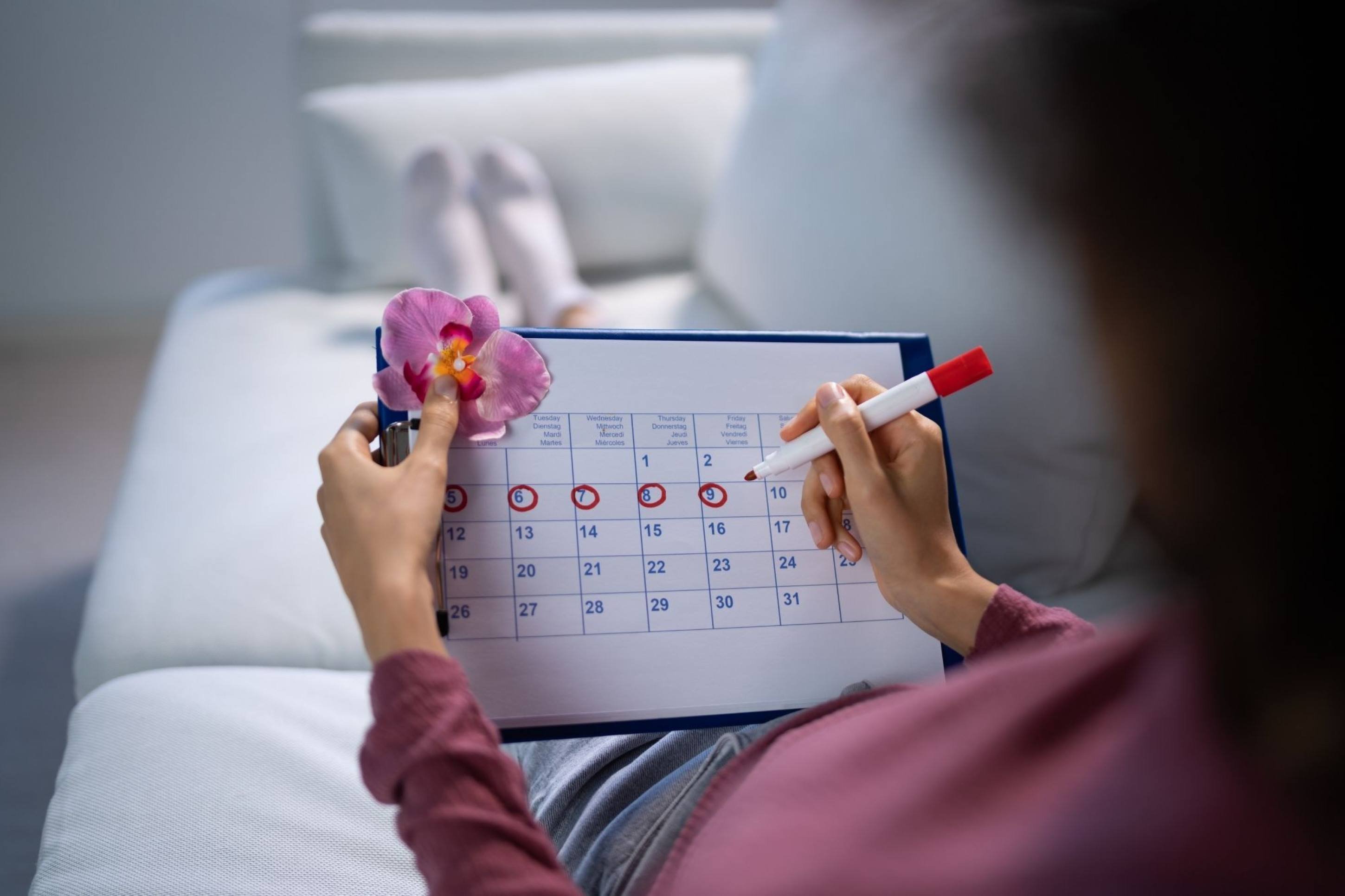 Ciclo menstrual não altera desempenho cognitivo, aponta revisão