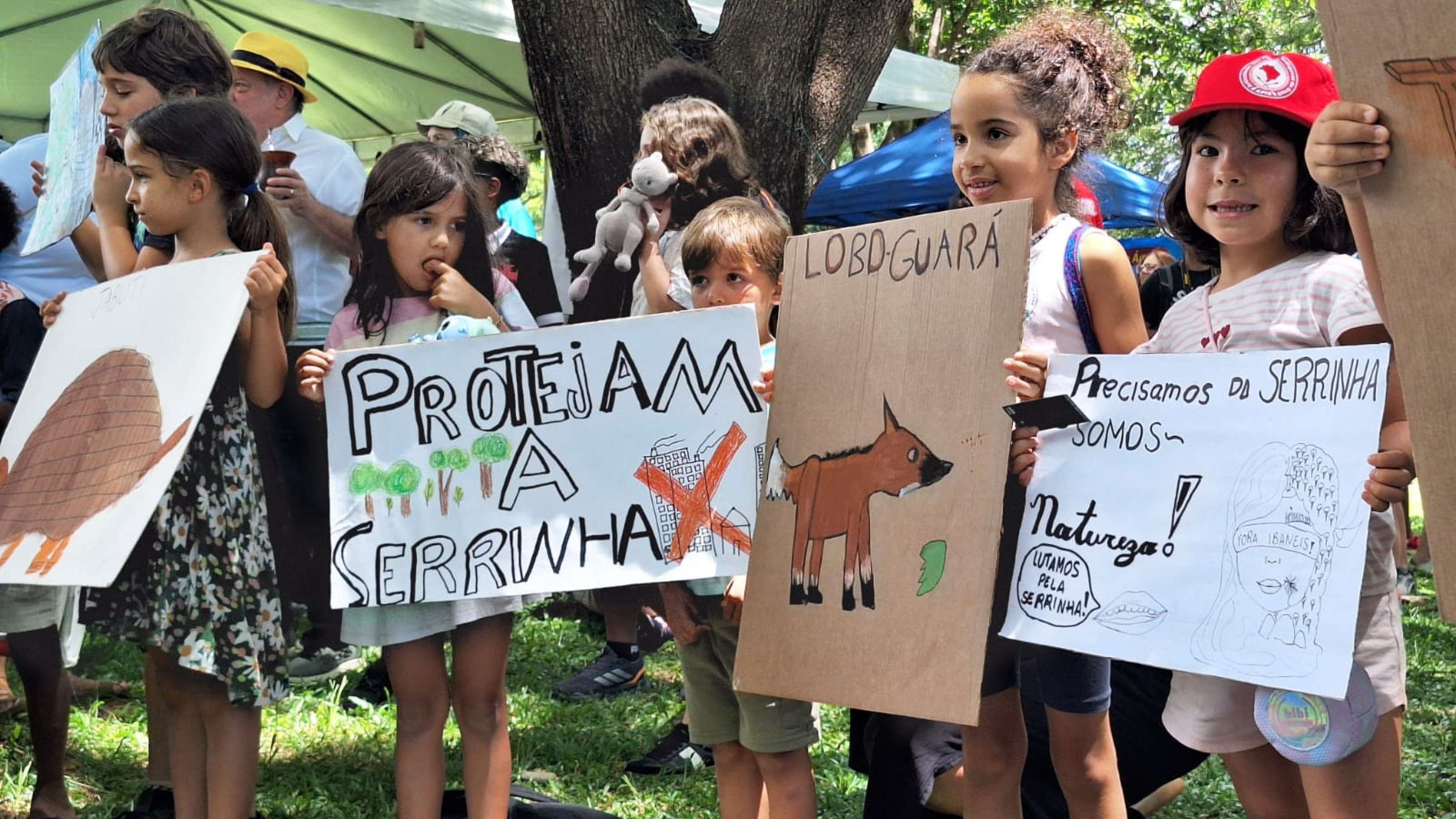 Manifestantes participam de ato no Eix&atilde;o em defesa da Serrinha do Parano&aacute;