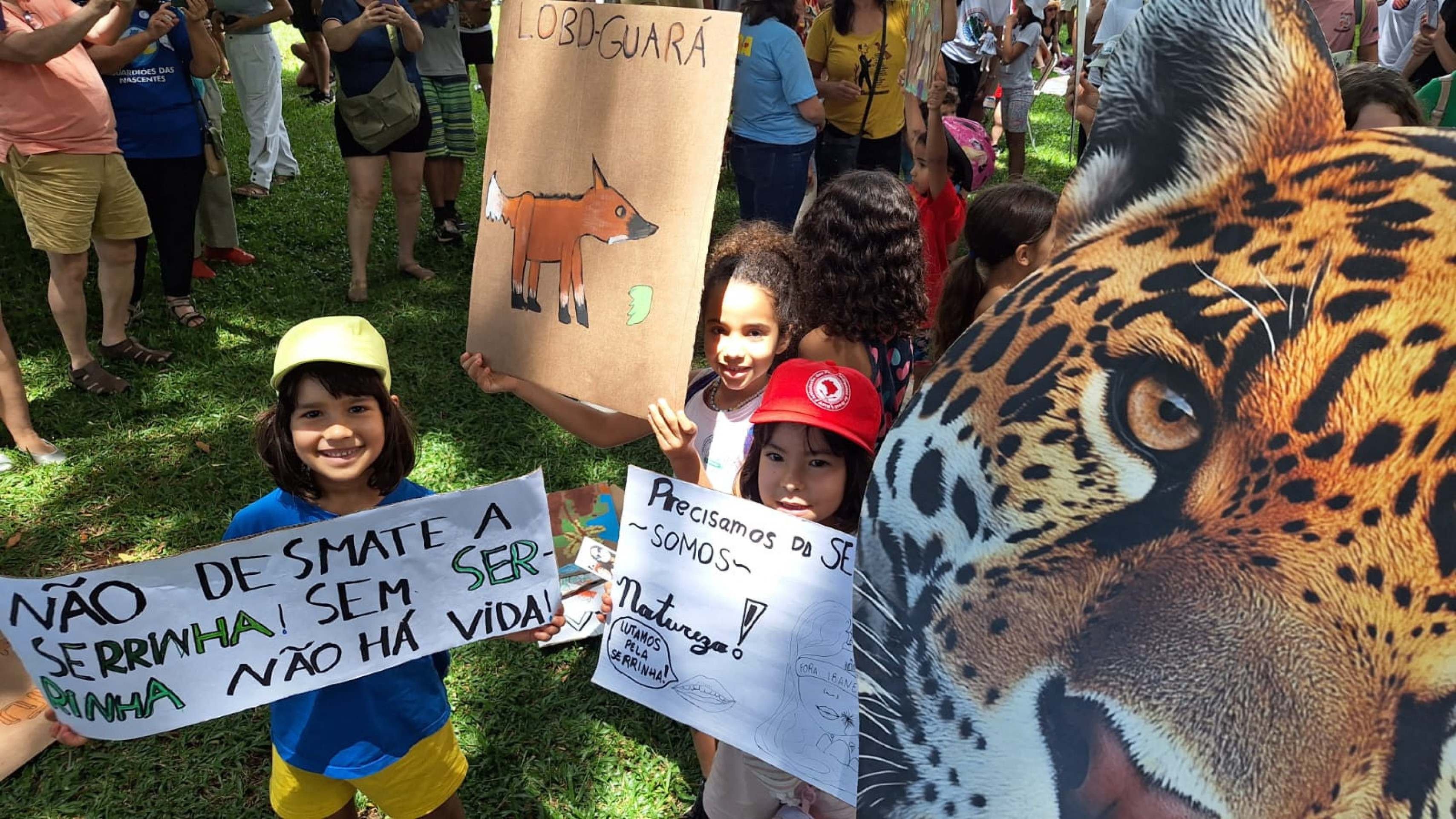 Manifestantes participam de ato no Eix&atilde;o em defesa da Serrinha do Parano&aacute;