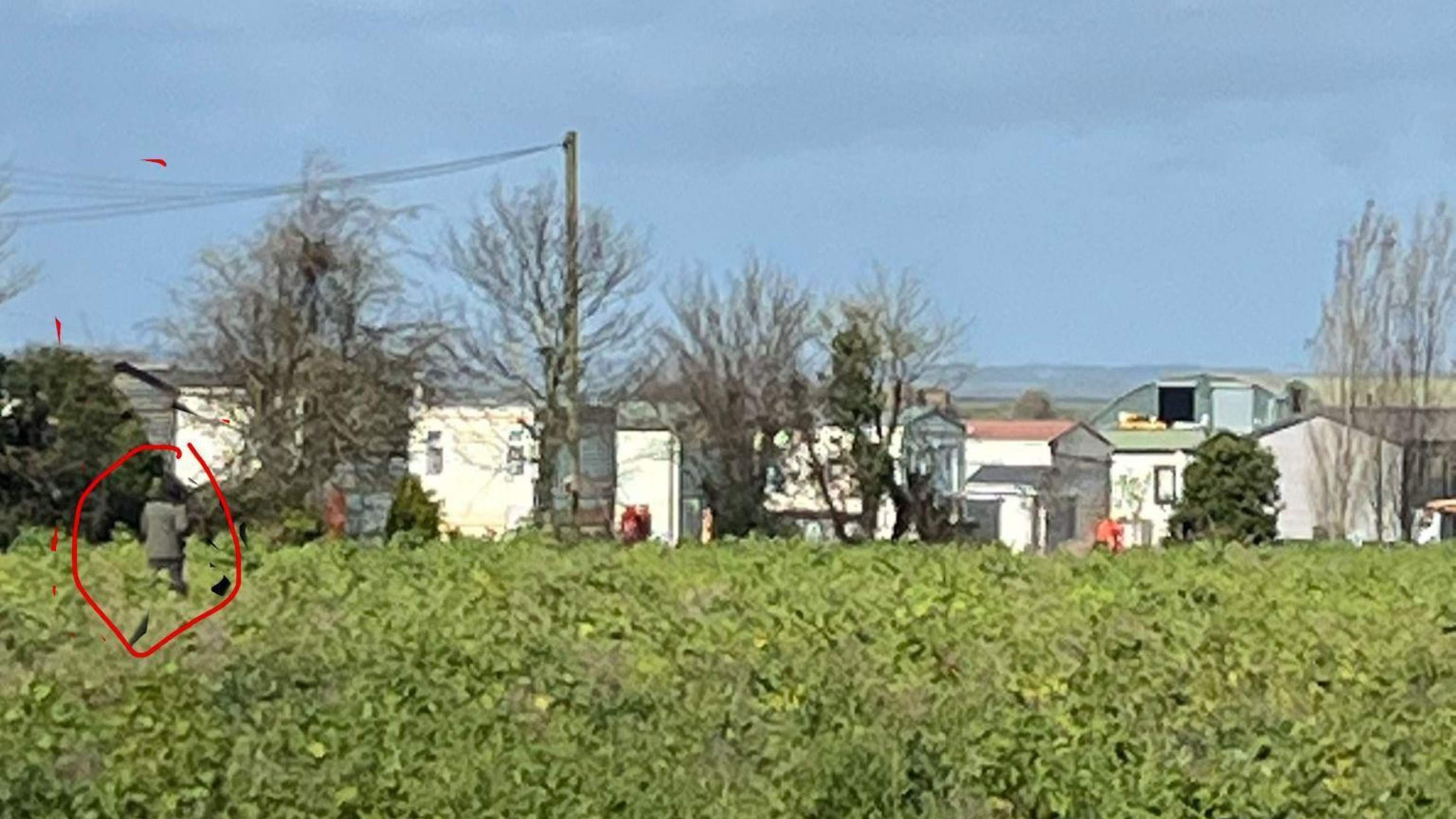 A última imagem de Vitória, capturada por câmera de segurança às 0h16 de quarta-feira, 4 de março - (crédito: Polícia de Essex) A última imagem de Vitória, capturada por câmera de segurança às 0h16 de quarta-feira, 4 de março - (crédito: Polícia de Essex)