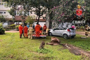O carro, que se chocou contra a árvore, é um Ford Fiesta - (crédito: Divulgação/CBMDF) O carro, que se chocou contra a árvore, é um Ford Fiesta - (crédito: Divulgação/CBMDF)