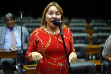 A deputada Gorete Pereira afirmou que não praticou qualquer 'ato ilícito' e que as informações divulgadas não refletem a realidade dos fatos -  (crédito: Pablo Valadares/Câmara dos Deputados)