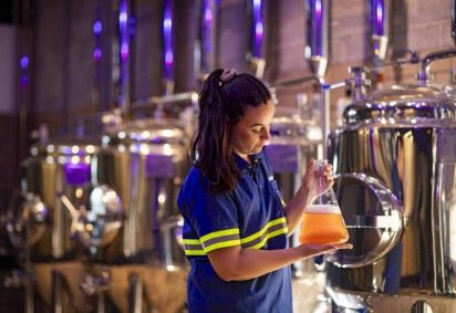Ambev disponibilliza curso sobre cultura cervejeira para mulheres -  (crédito: Divulgação/Ambev/Chris Castanho )
