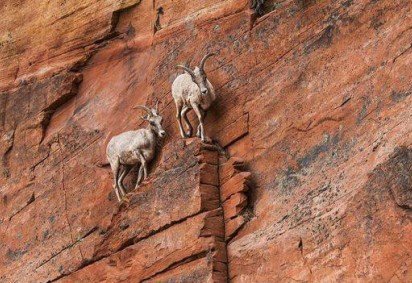 Pensar diferente sobre a ansiedade pode ajudar a transformar esta emoção em uma força positiva -  (crédito: Getty Images) -Pensar diferente sobre a ansiedade pode ajudar a transformar esta emoção em uma força positiva -  (crédito: Getty Images)