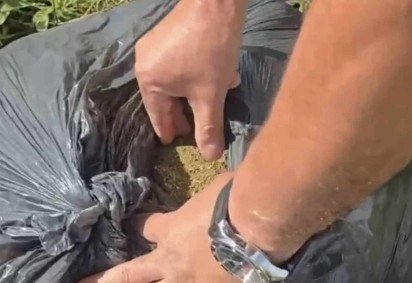 30 kg de maconha são encontrados em Ceilândia Norte -  (crédito: Divulgação / PCDF) -30 kg de maconha são encontrados em Ceilândia Norte -  (crédito: Divulgação / PCDF)