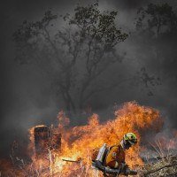 Exposição fotográfica exibe impactos das queimadas no cerrado do DF
 -  (crédito: Vladimir Luz)