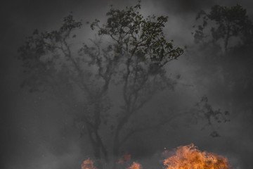Exposição fotográfica exibe impactos das queimadas no cerrado do DF
 -  (crédito: Vladimir Luz)