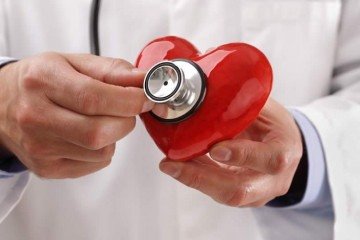 As nozes melhoram a função dos vasos sanguíneos e reduz processos inflamatórios no organismo - (crédito: Divulgação) As nozes melhoram a função dos vasos sanguíneos e reduz processos inflamatórios no organismo - (crédito: Divulgação)