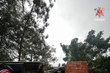 As equipes atuam no trabalho de corte e retirada da &aacute;rvore em frente &agrave; Quadra 102 -  (crédito: Divulga&ccedil;&atilde;o/CBMDF) -As equipes atuam no trabalho de corte e retirada da &aacute;rvore em frente &agrave; Quadra 102 -  (crédito: Divulga&ccedil;&atilde;o/CBMDF)