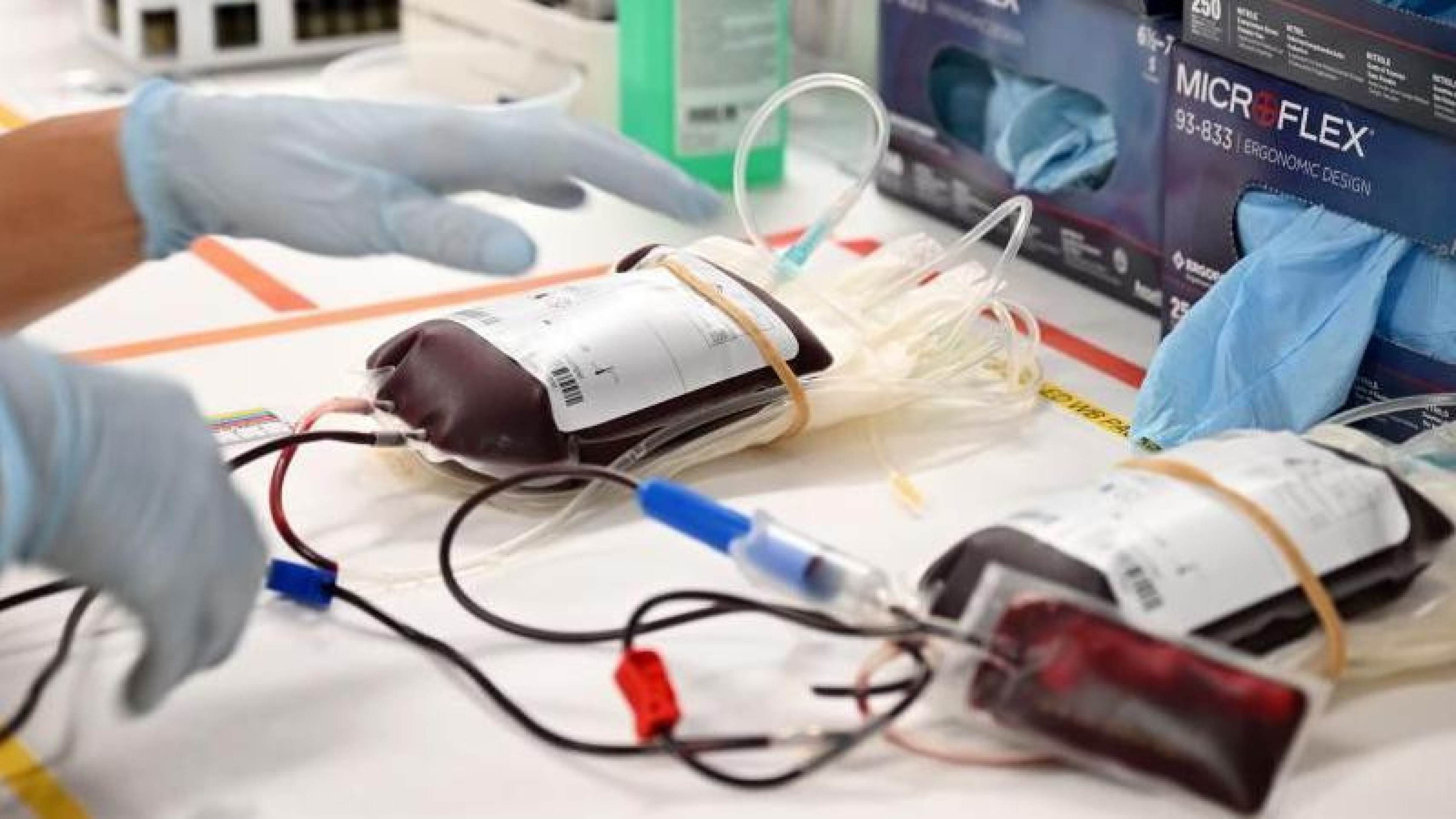 As novas regras das Testemunhas de Jeová para transfusão de sangue - (crédito: BBC Geral) As novas regras das Testemunhas de Jeová para transfusão de sangue - (crédito: BBC Geral)