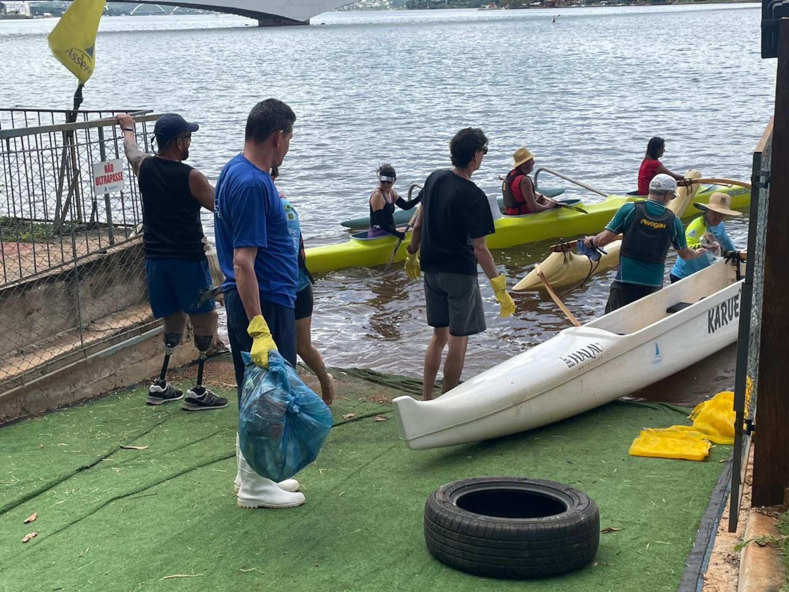 Para celebrar o Dia Mundial da 