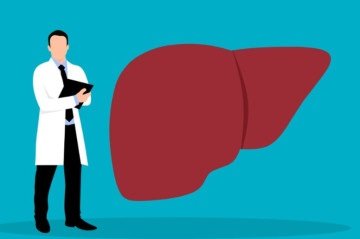 Manter o fígado saudável não depende apenas de evitar bebidas alcoólicas, mas de um estilo de vida equilibrado - (crédito: Pixabay) Manter o fígado saudável não depende apenas de evitar bebidas alcoólicas, mas de um estilo de vida equilibrado - (crédito: Pixabay)