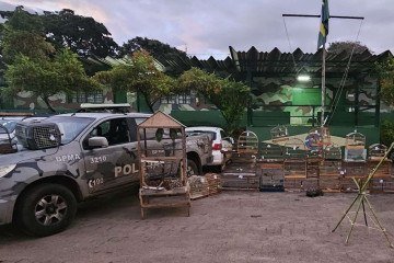 Alunos do XXIII Curso de Policiamento Ambiental realizaram as apreensões de animais silvestres - (crédito: PMDF) Alunos do XXIII Curso de Policiamento Ambiental realizaram as apreensões de animais silvestres - (crédito: PMDF)