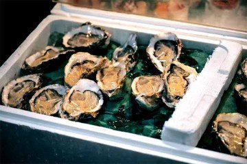 As ostras são muito apreciadas em restaurantes de frutos do mar em toda a Austrália. -  (crédito: Imagem Freepik)