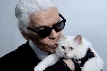 A gata Choupette, da ra&ccedil;a sagrado da Birm&acirc;nia, recebeu cerca cerca de U$ 200 milh&otilde;es, parte da fortuna de Lagerfeld -  (crédito: Reprodu&ccedil;&atilde;o/Instagram)