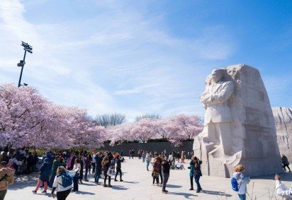 Festival das Flores de Cerejeiras em Washington DC: conheça 14 dicas -  (crédito: Uai Turismo) -Festival das Flores de Cerejeiras em Washington DC: conheça 14 dicas -  (crédito: Uai Turismo)