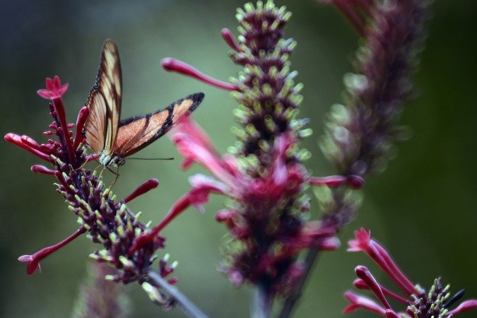 Espa&ccedil;o funciona de quarta a domingo, das 9h &agrave;s 12h e das 13h30 &agrave;s 15h30