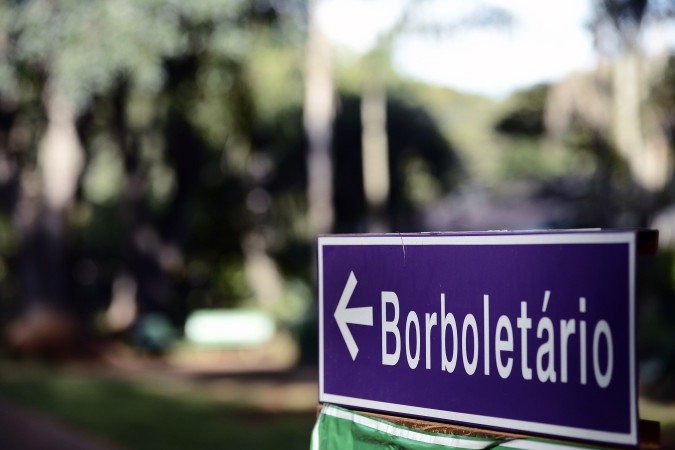 Em dias de chuva, o espa&ccedil;o &eacute; fechado, pois as borboletas se escondem nas plantas