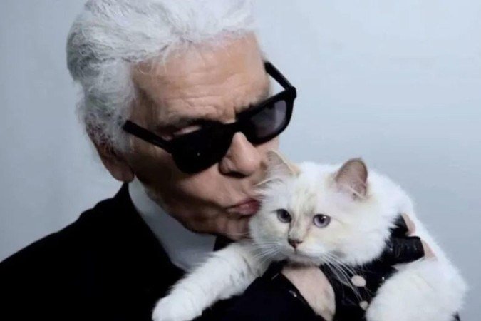 A gata Choupette, da raça sagrado da Birmânia, recebeu cerca cerca de U$ 200 milhões, parte da fortuna de Lagerfeld - (crédito: Reprodução/Instagram) A gata Choupette, da raça sagrado da Birmânia, recebeu cerca cerca de U$ 200 milhões, parte da fortuna de Lagerfeld - (crédito: Reprodução/Instagram)