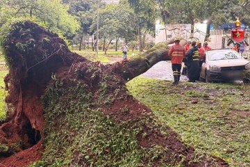 Chuvas intensas causam estragos no DF -  (crédito: CBMDF/Divulgação)