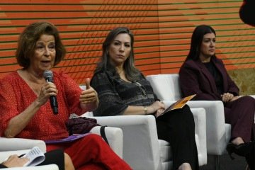 Lia Zanotta Machado, professora da UnB, defendeu educação na prevenção da violência contra a mulher -  (crédito: Marcelo Ferreira CB/DA Press)