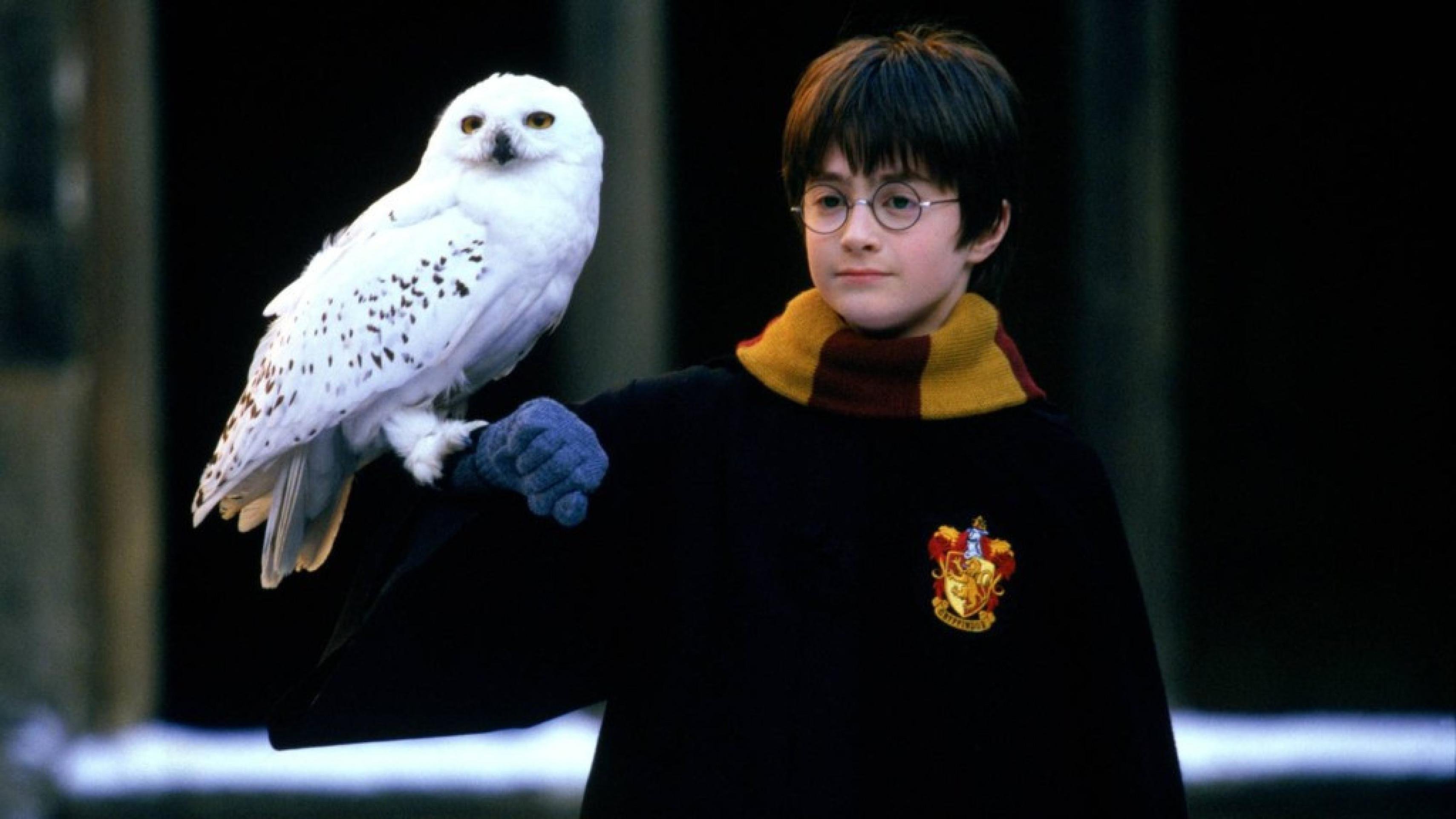 Harry Potter: Série da HBO ganha foto oficial e trailer pode sair amanhã -  (crédito: Observatorio do Cinema)