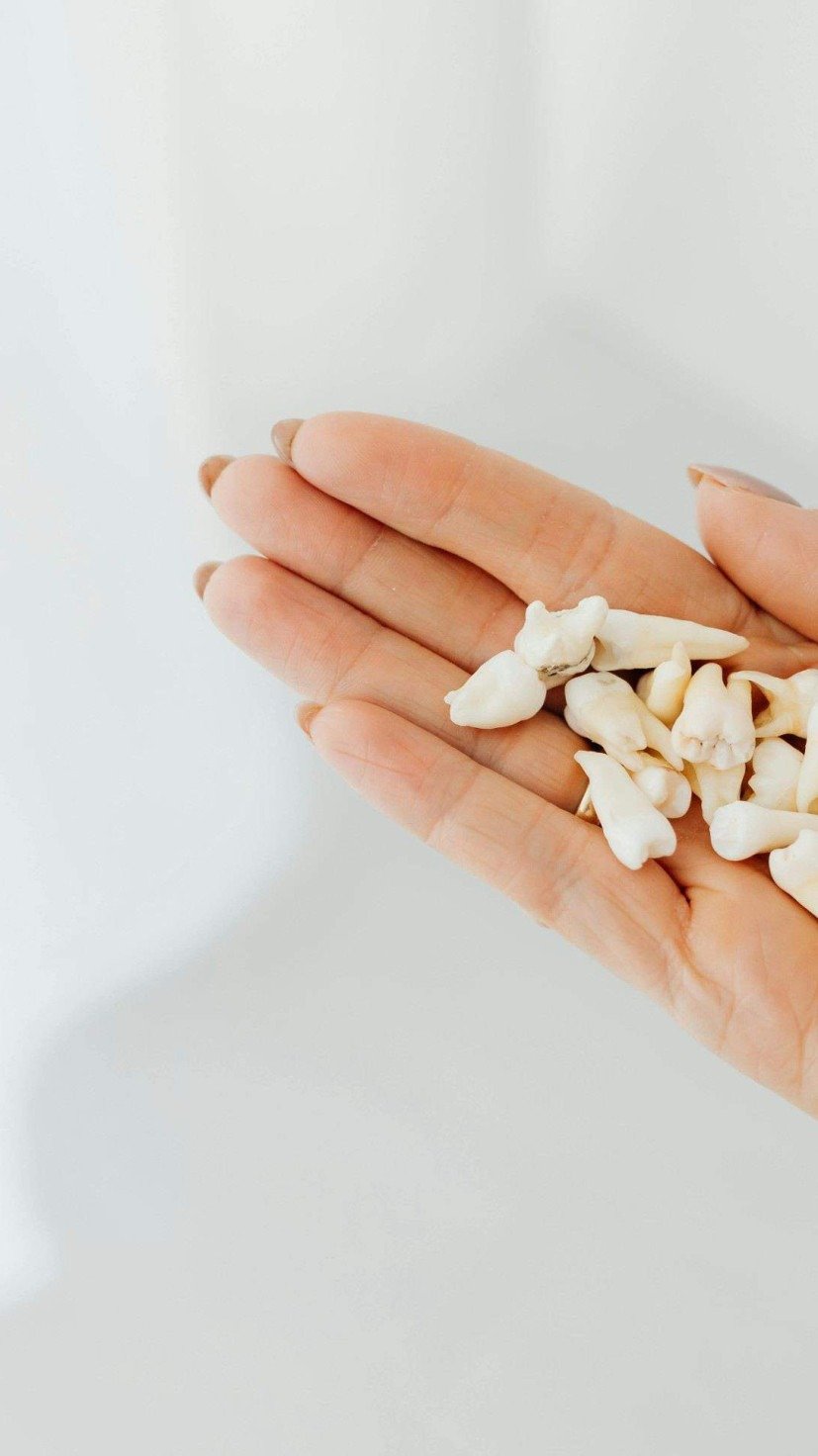 . -  (crédito: Reprodução)