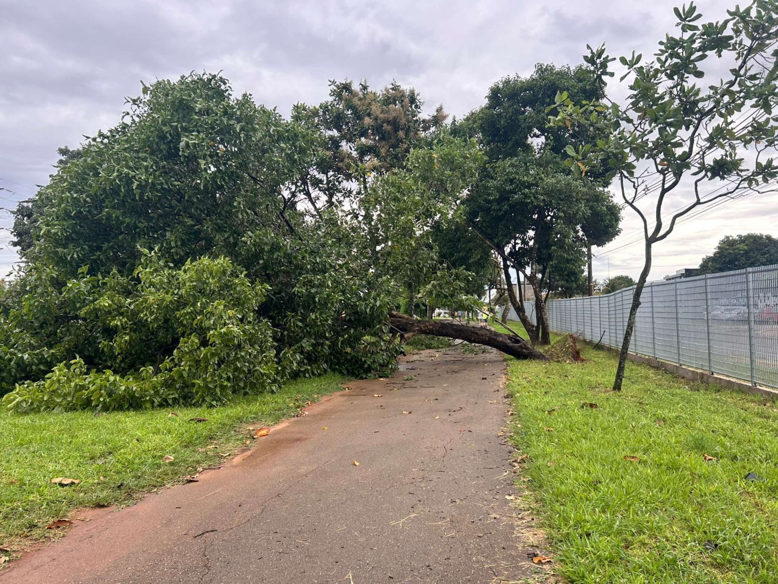 Fortes chuvas causam estragos em regi&otilde;es administrativas do DF