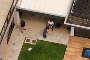 Moraes amplia cerco a drones na casa de Bolsonaro - Reprodução de vídeo/Rede Globo