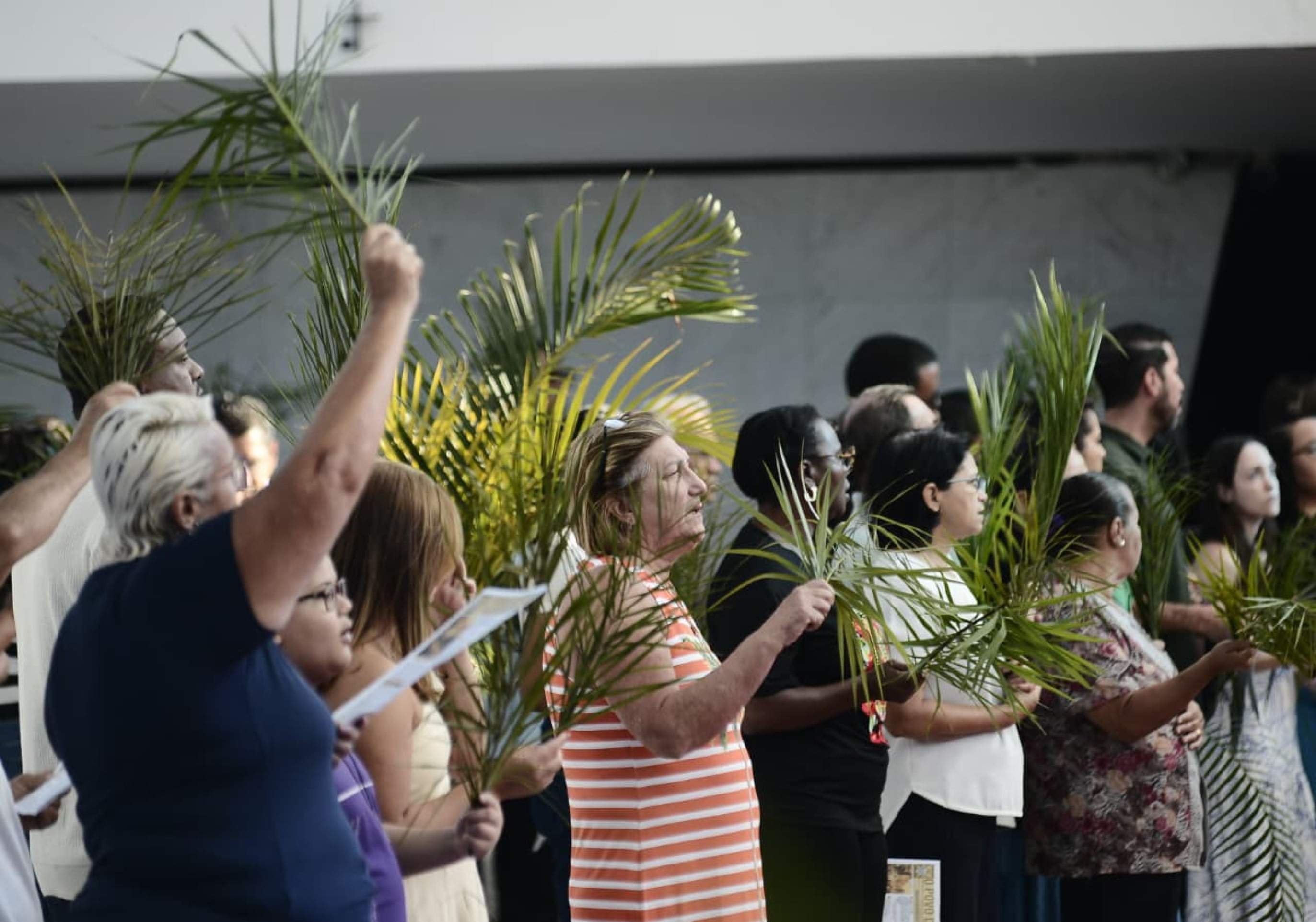 Fi&eacute;is celebram missa de Domingo de Ramos na Catedral de Bras&iacute;lia
