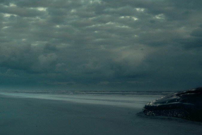  Barba ensopada de sangue: reflex&atilde;o e instrospec&ccedil;&atilde;o